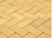 Брусчатка Желтый 100*200*45 (1под/50шт)